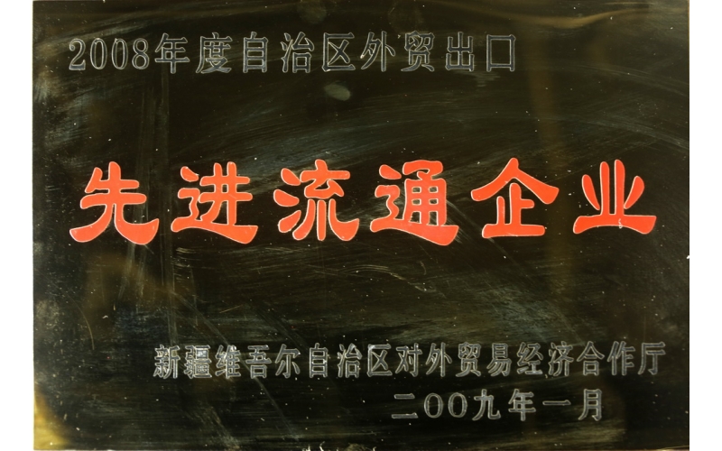 2009年新疆外貿出口先進企業(yè)